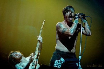 Zero's Heroes: Music Caught on Camera - Paul Bergen [KSIĄŻKA]