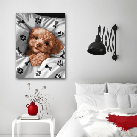 Malowanie po numerach z ramą 30x40cm Uroczy Maltipoo