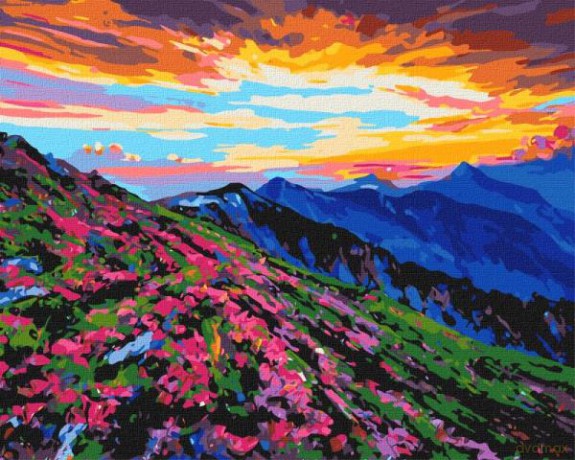 Malowanie po numerach z ramą 40x50cm Czarowny kraj