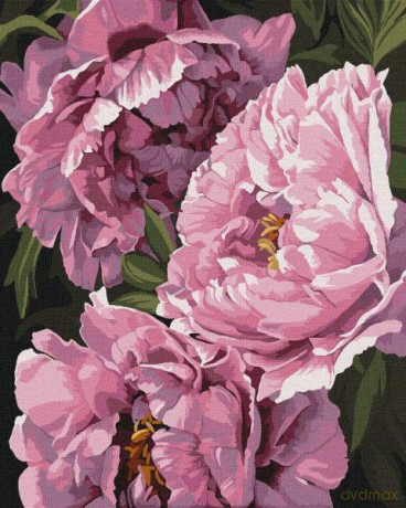 Malowanie po numerach z ramą 40x50cm Magia kwiatów