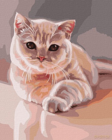 Malowanie po numerach z ramą 40x50cm Ulubiony futrzak