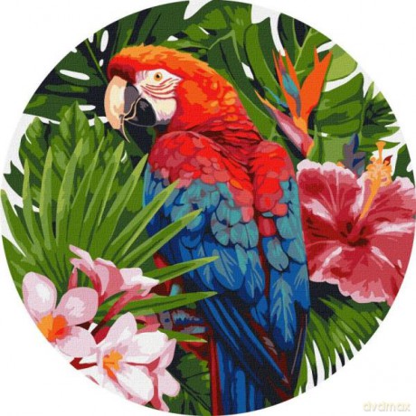 Malowanie po numerach z ramą okrągłe 39x39cm Jasna papuga