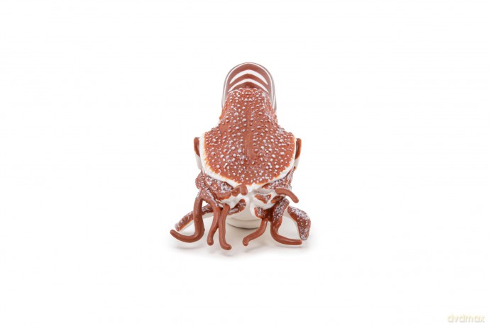 PAPO 56061 Nautilus