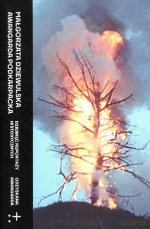 Awangarda podkarpacka - Małgorzata Dziewulska [KSIĄŻKA]