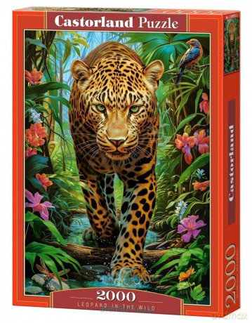 CASTORLAND 2000 el. Leopard in the Wild [PUZZLE]
