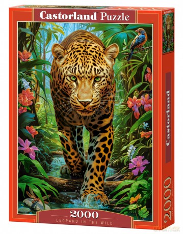 CASTORLAND 2000 el. Leopard in the Wild [PUZZLE]