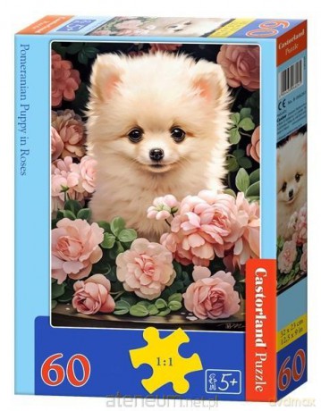 CASTORLAND 60 el. Pomeranian Puppy in Roses [PUZZLE]
