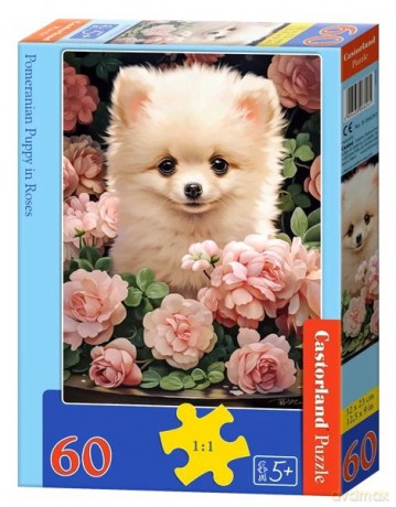 CASTORLAND 60 el. Pomeranian Puppy in Roses [PUZZLE]