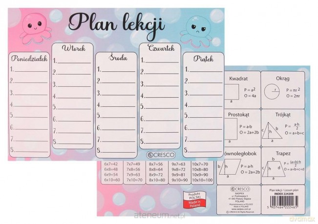 Plan lekcji A5 Ośmiornica (25szt)