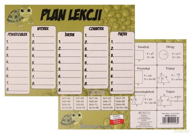 Plan lekcji A5 Żólw (25szt)