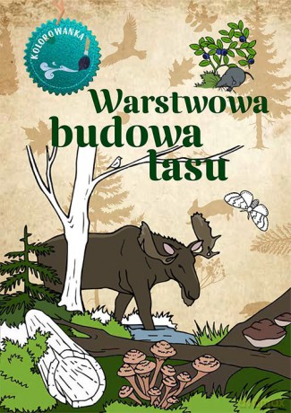 Warstwowa budowa lasu. Kolorowanka - Katarzyna Kopiec-Sekieta [KSIĄŻKA]