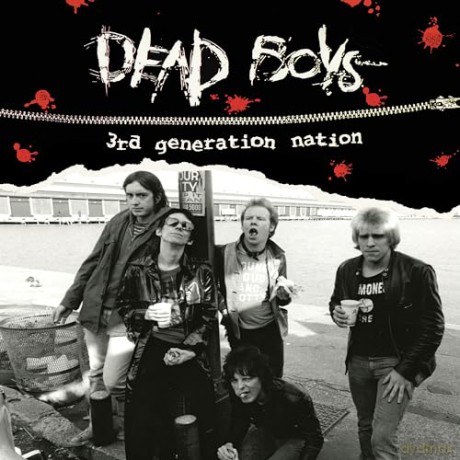 Dead Boys: 3rd Generation Nation [Winyl]