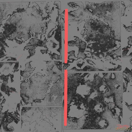 Erol Alkan: A Hold On Love (Reworks) [Winyl]