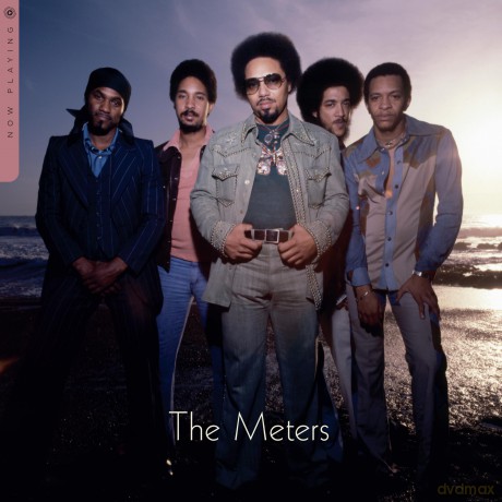 Meters: Now Playing [Winyl]