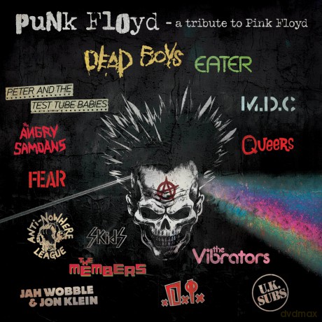 Punk Floyd - A Tribute To Pink Floyd [CD]