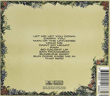 Teskey Brothers: Run Home Slow [CD]