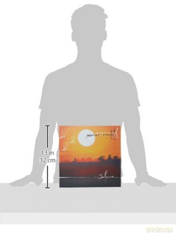 Xavier Rudd: Solace [Winyl]
