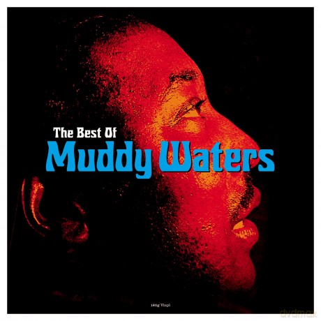 Muddy Waters: The Best Of Muddy Waters [Winyl]