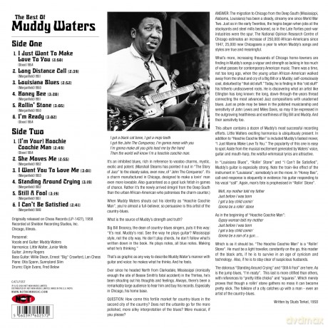 Muddy Waters: The Best Of Muddy Waters [Winyl]