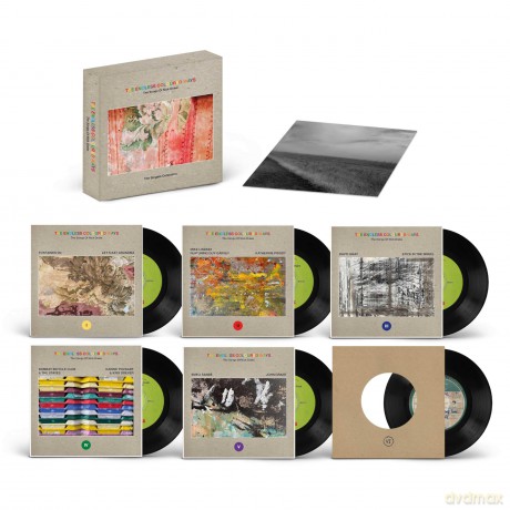 The Endless Coloured Ways: The Songs Of Nick Drake - The Singles Collection (RSD 2024) [Winyl]