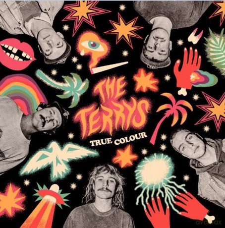 Terrys: True Colour [CD]