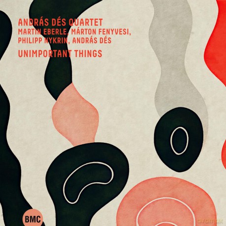 Andras Des Quartet: Unimportant Things [CD]