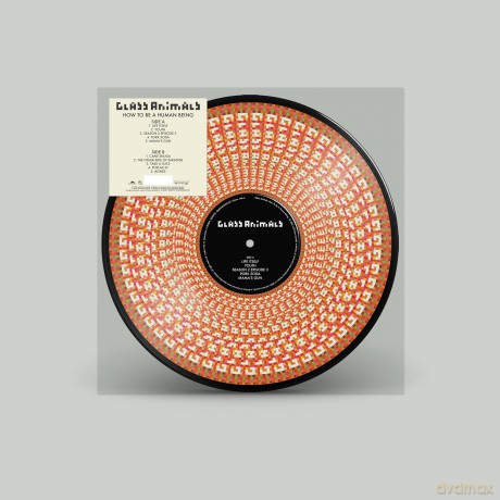 Glass Animals: How To Be A Human Being (Zoetrope) (Limited) [Winyl]