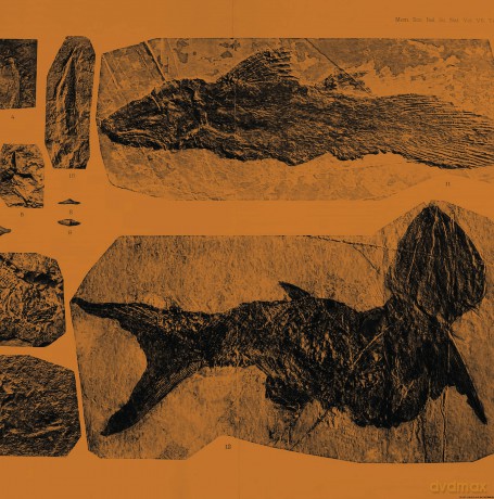 Annelies Monsere: Mares [Winyl]