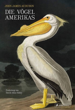 Die Vögel Amerikas - John James Audubon [KSIĄŻKA]