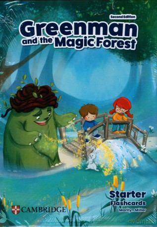 Greenman and the Magic Forest Starter Flashcards - Marilyn Miller [KSIĄŻKA]