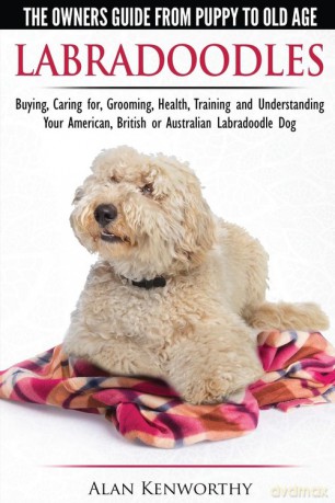 Labradoodles - The Owners Guide from Puppy to Old Age for Your American, British or Australian Labradoodle Dog - Alan Kenworthy [KSIĄŻKA]