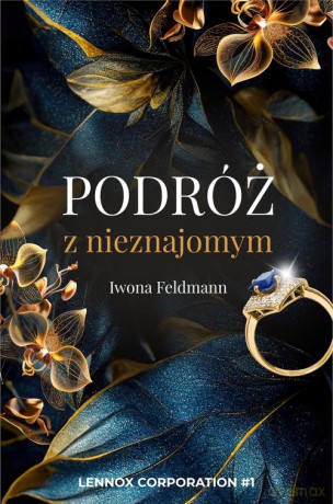 Podróż z nieznajomym - Iwona Feldmann [KSIĄŻKA]