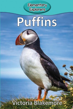 Puffins - Victoria Blakemore [KSIĄŻKA]