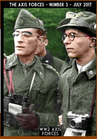 The Axis Forces 3 - Massimiliano Afiero [KSIĄŻKA]