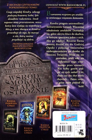 Baśniobór 4 Tajemnice Smoczego Azylu - Brandon Mull [KSIĄŻKA]