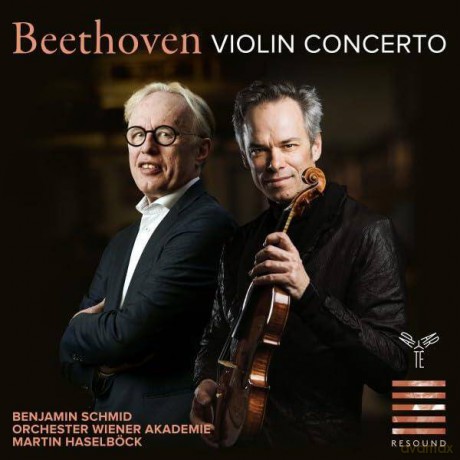 Beethoven: Violin Concerto Andante Cantabile Orch Liszt Orchester Wiener Akademie Haselbock Schmid [CD]
