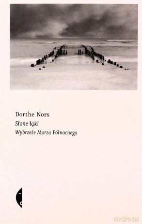 Słone łąki. Wybrzeże Morza Północnego - Dorthe Nors [KSIĄŻKA]