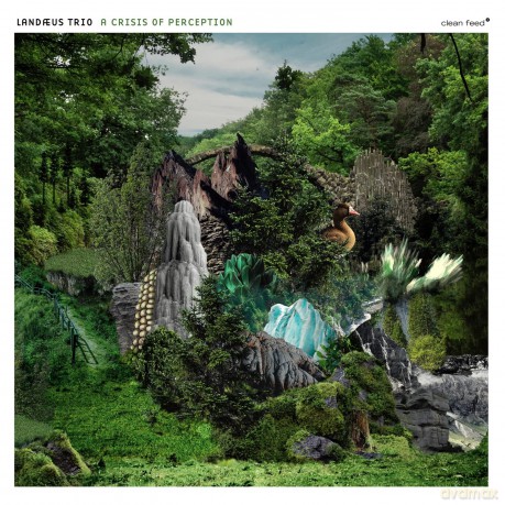 Landaeus Trio: A Crisis Of Perfection [CD]