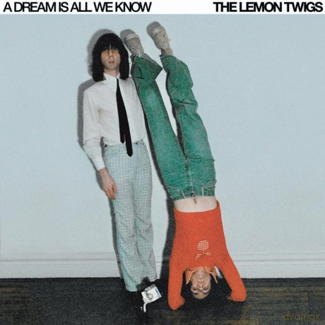Lemon Twigs: A Dream Is All We Know [CD]