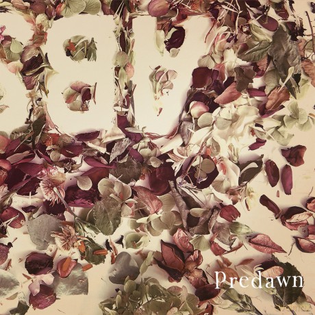 Predawn: Absence [CD]