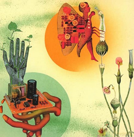 Salami Rose Joe Louis: Akousmatokous [CD]