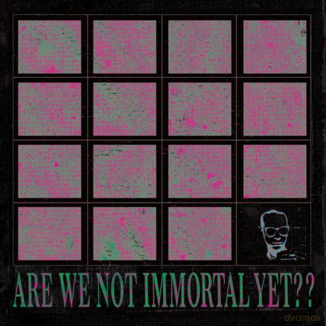 This Cold Night: Are We Not Immortal Yet [CD]