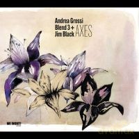 Andrea Grossi Blend 3 +: Axes [CD]