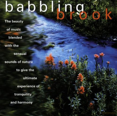 Babbling Brook [CD]