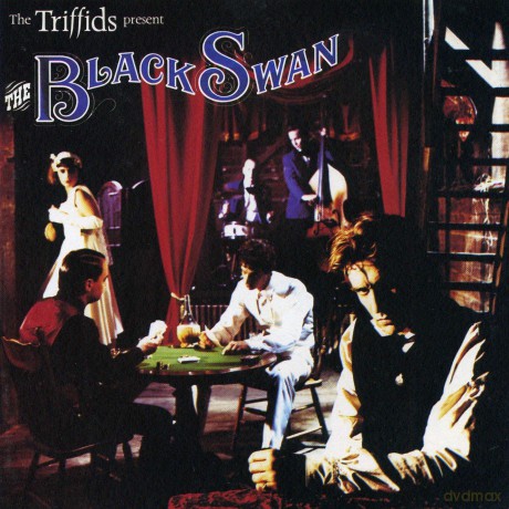 Triffids: Black Swan [CD]