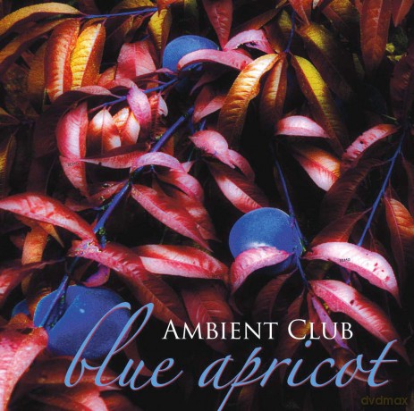 Ambient Club: Blue Apricot [CD]