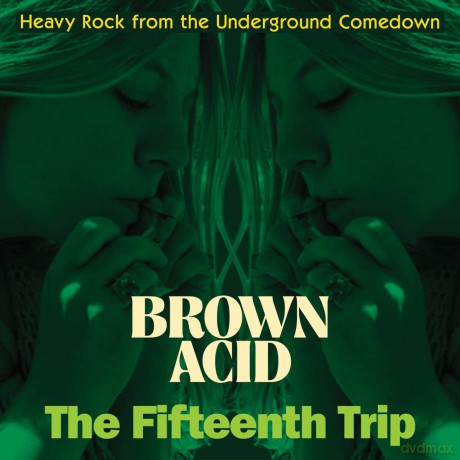 Brown Acid The Fifteenth Trip [CD]