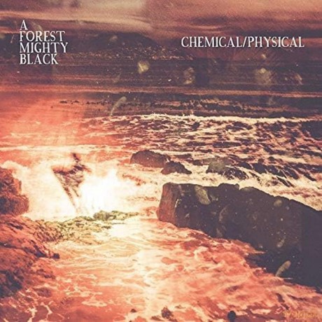 A Forest Mighty Blac: Chemical Physical [CD]