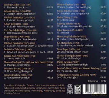 Calmus Ensemble: Christmas Lights [CD]