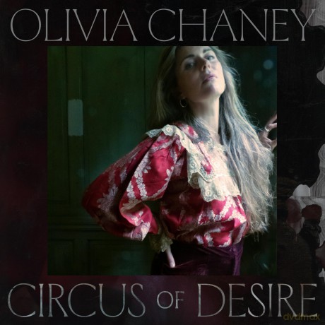Olivia Chaney: Circus Of Desire [CD]